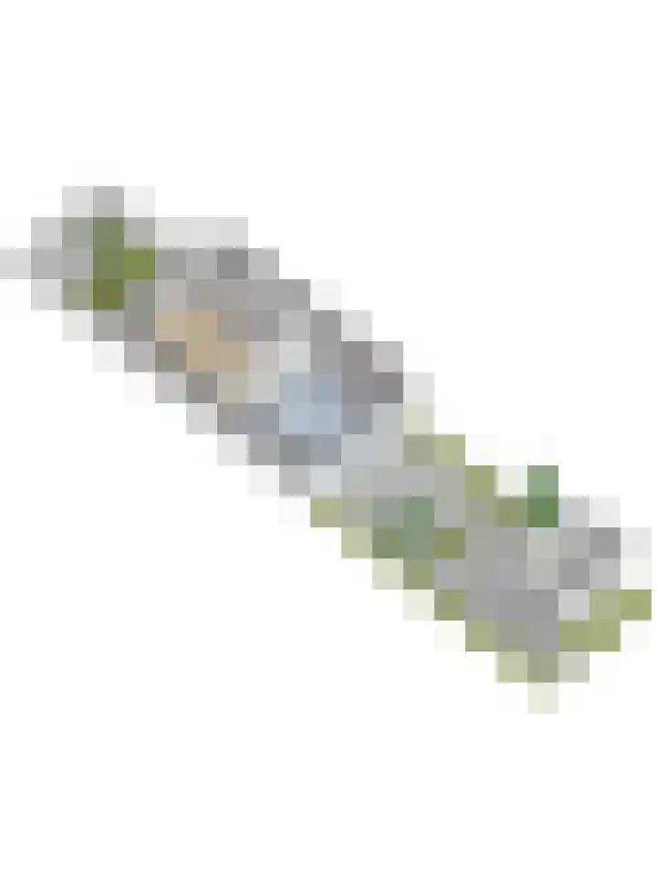 John Denverlaan 19 Goes thumbnail 39