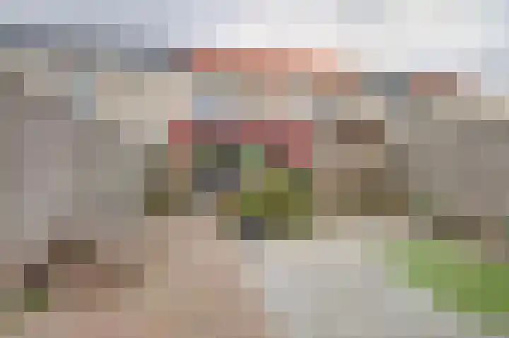John Denverlaan 19 Goes thumbnail 4