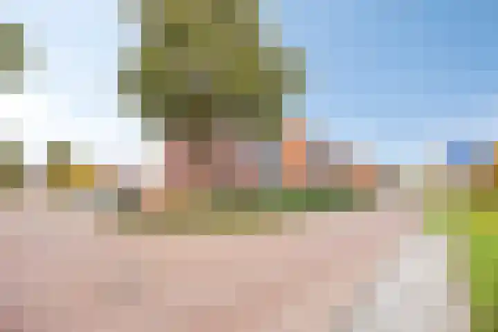 John Denverlaan 39 Goes thumbnail 24