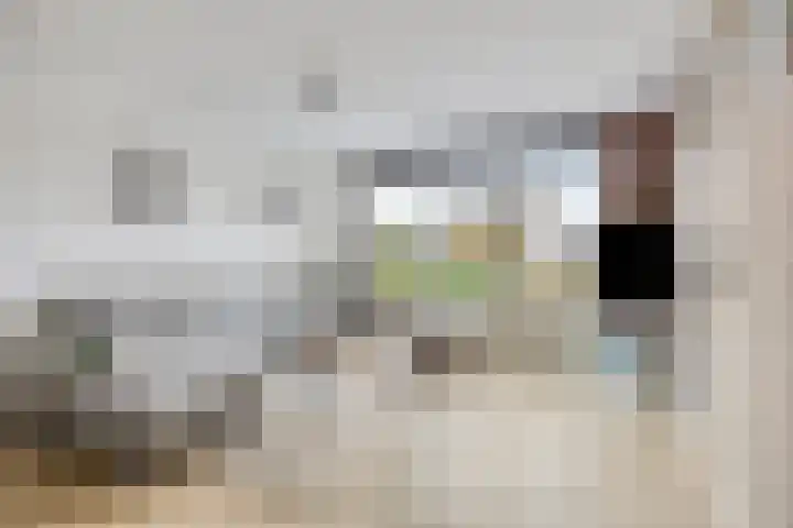 John Denverlaan 39 Goes thumbnail 4