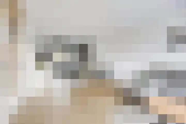 John Denverlaan 39 Goes thumbnail 6
