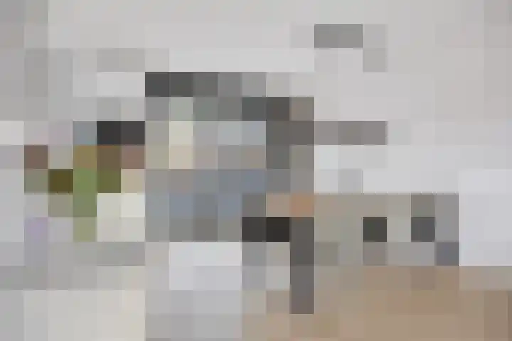 John Denverlaan 39 Goes thumbnail 7