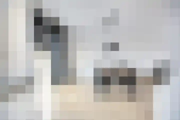 John Denverlaan 39 Goes thumbnail 9