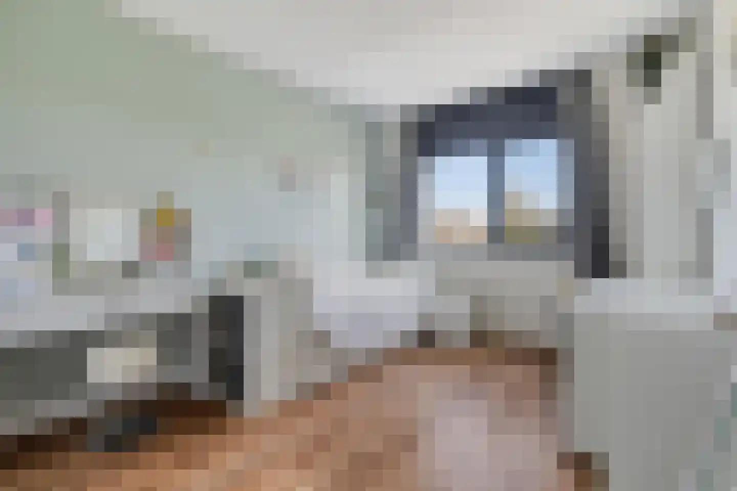 John Denverlaan 41 Goes thumbnail 24
