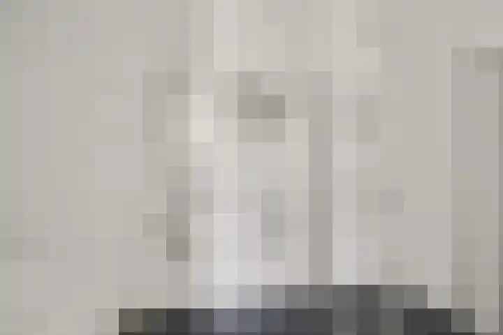 John Denverlaan 48 Goes thumbnail 21