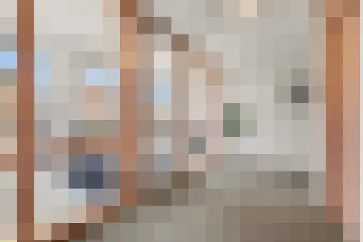 John Denverlaan 48 Goes thumbnail 30