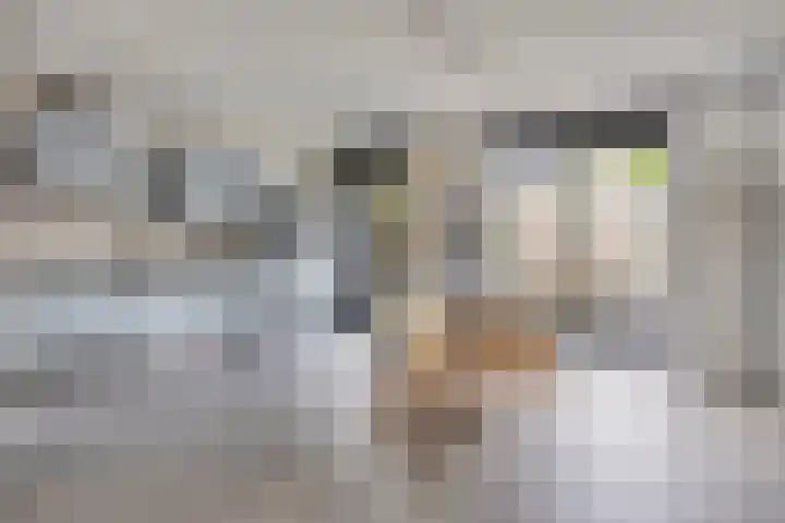 John Denverlaan 55 Goes thumbnail 11