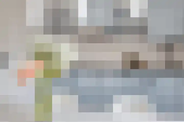 John Denverlaan 55 Goes thumbnail 13
