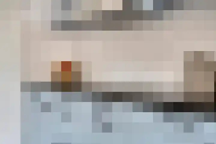 John Denverlaan 55 Goes thumbnail 15