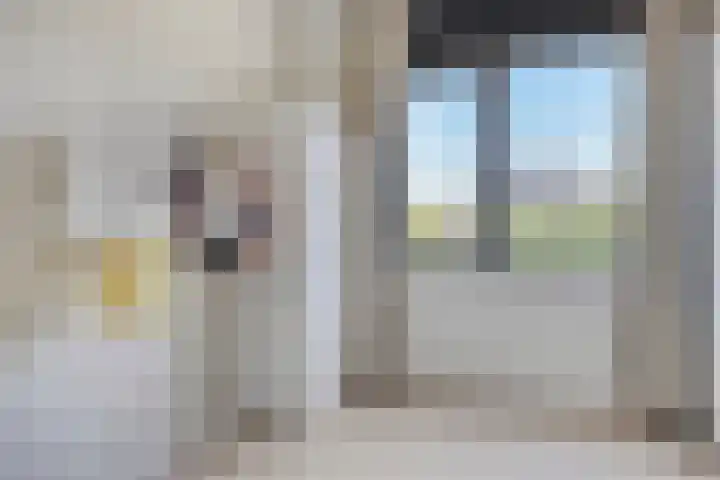 John Denverlaan 55 Goes thumbnail 22