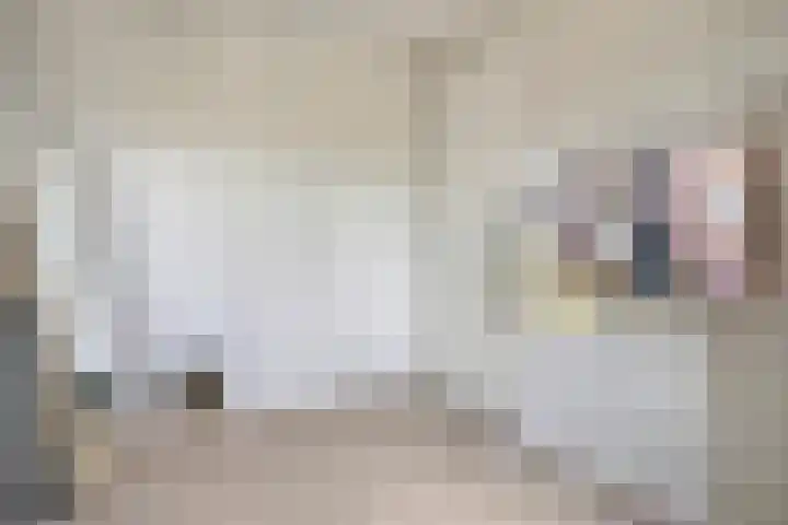John Denverlaan 55 Goes thumbnail 23