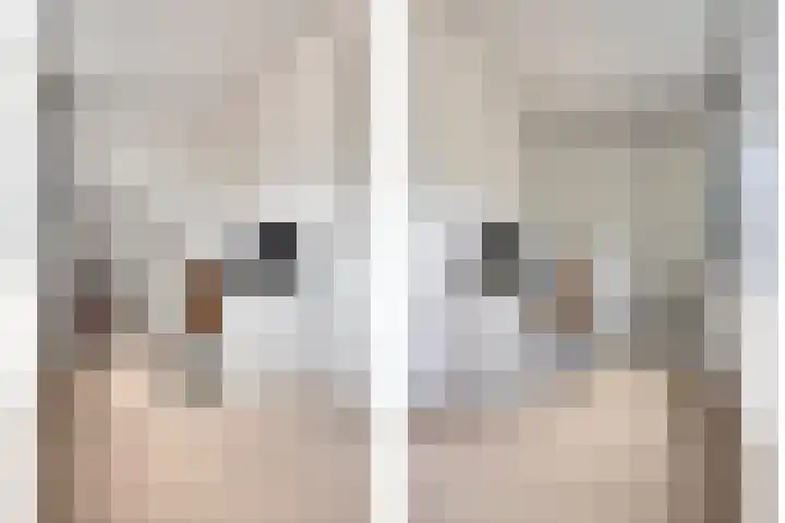 John Denverlaan 55 Goes thumbnail 27