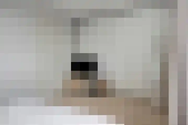 John Denverlaan 55 Goes thumbnail 29