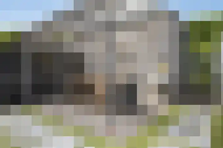 John Denverlaan 55 Goes thumbnail 32