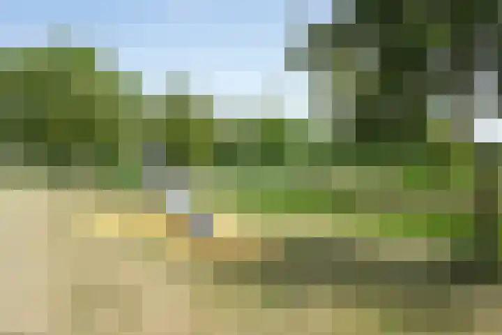 John Denverlaan 55 Goes thumbnail 35