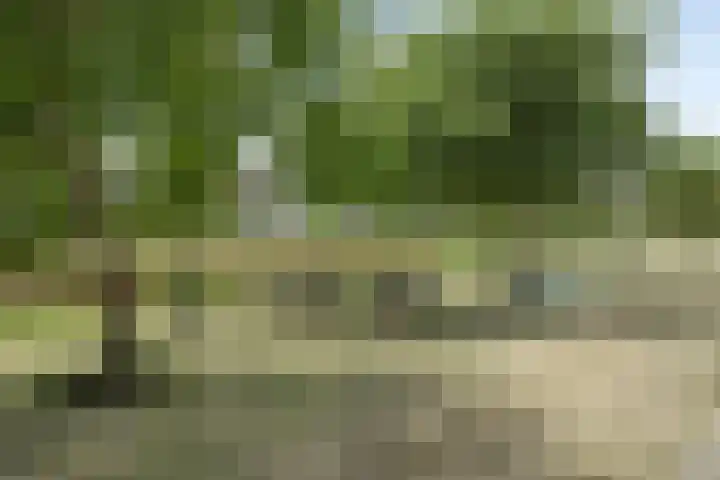 John Denverlaan 55 Goes thumbnail 36