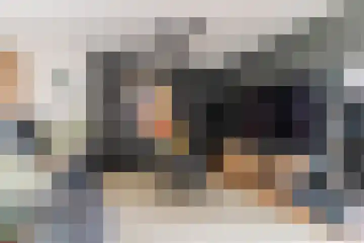 John F. Kennedylaan 1 't Veld thumbnail 10