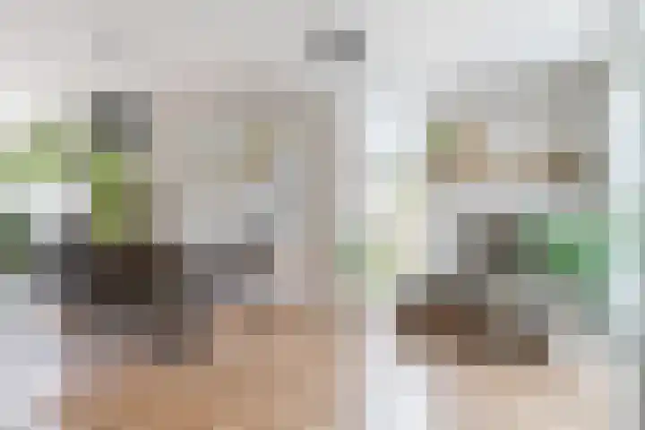 John F. Kennedylaan 1 't Veld thumbnail 12