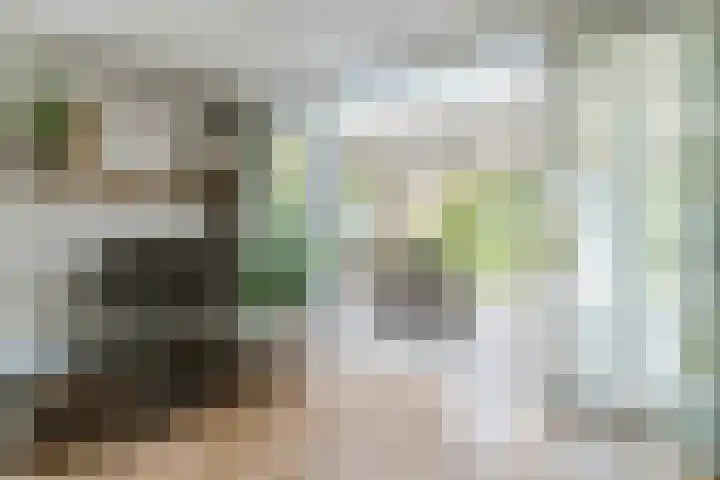 John F. Kennedylaan 1 't Veld thumbnail 13