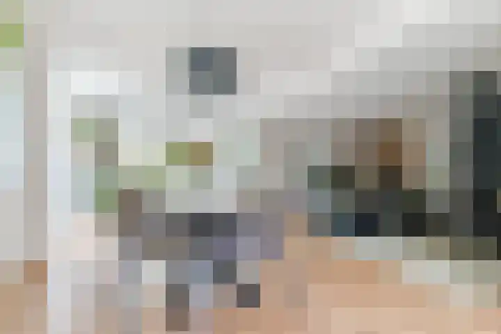 John F. Kennedylaan 1 't Veld thumbnail 15