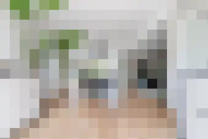 John F. Kennedylaan 1 't Veld thumbnail 16