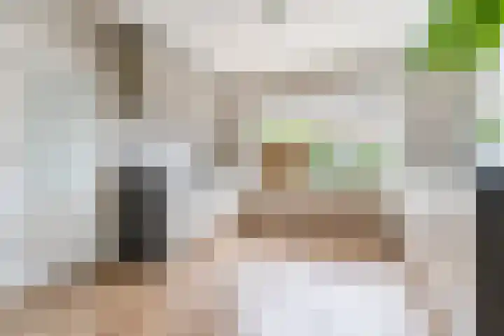 John F. Kennedylaan 1 't Veld thumbnail 17