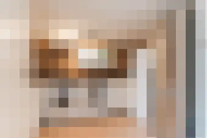 John F. Kennedylaan 1 't Veld thumbnail 20