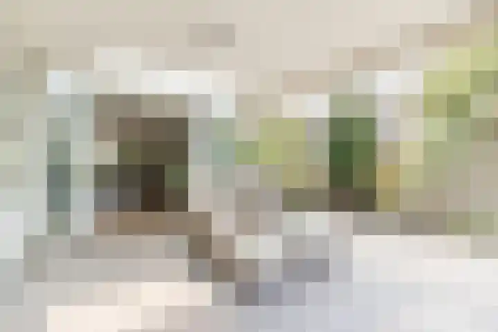John F. Kennedylaan 1 't Veld thumbnail 21
