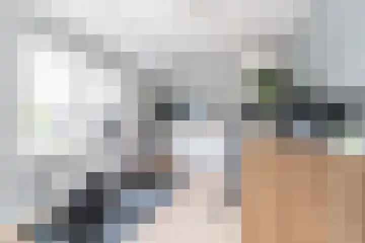 John F. Kennedylaan 1 't Veld thumbnail 27