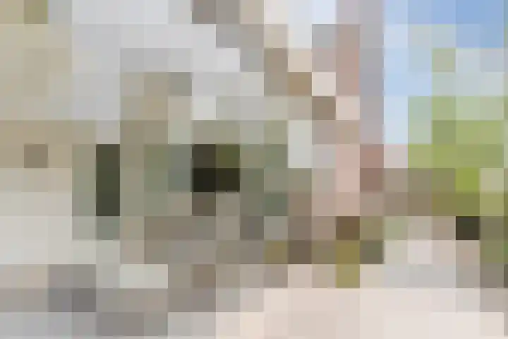 John F. Kennedylaan 1 't Veld thumbnail 33