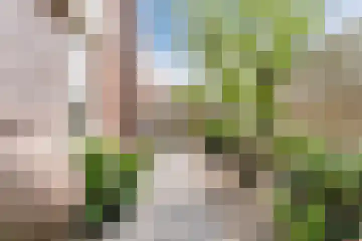 John F. Kennedylaan 1 't Veld thumbnail 34