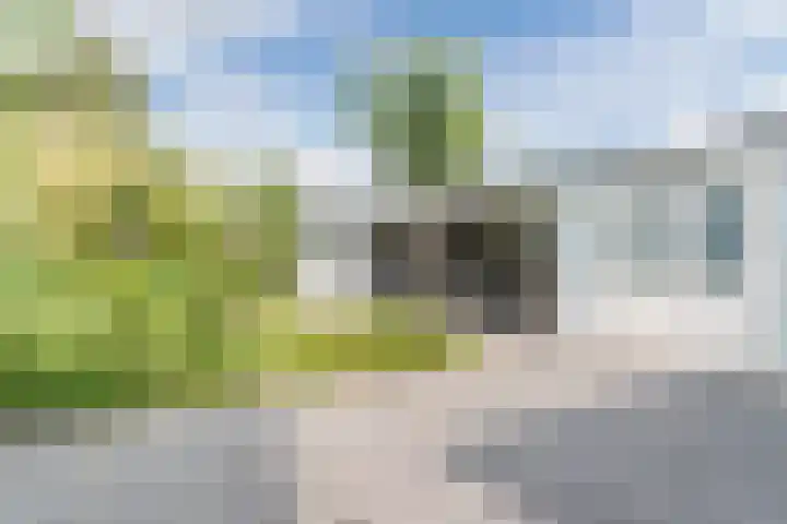 John F. Kennedylaan 1 't Veld thumbnail 35