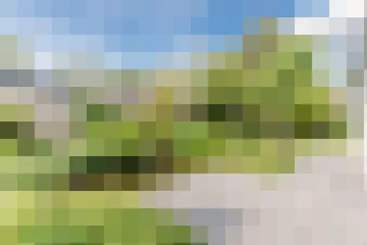 John F. Kennedylaan 1 't Veld thumbnail 36