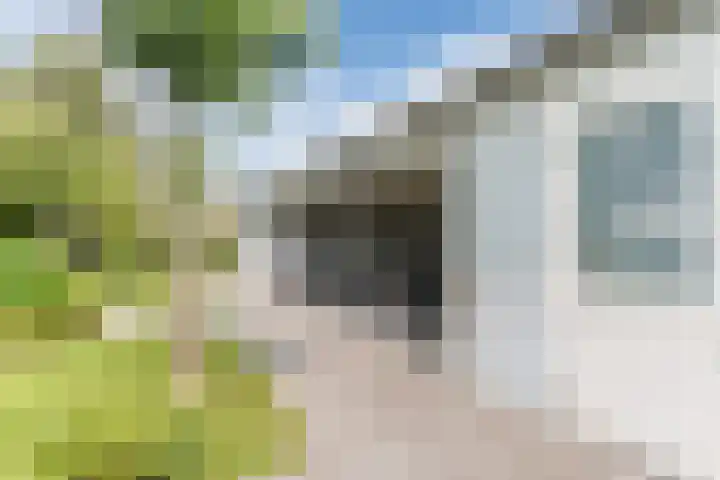 John F. Kennedylaan 1 't Veld thumbnail 37