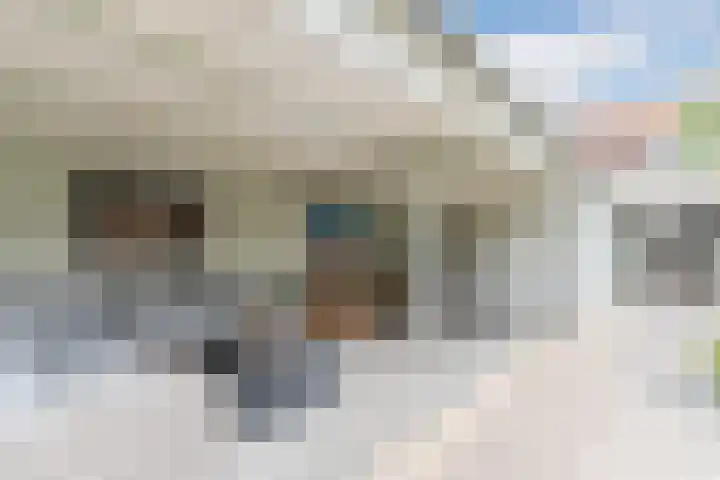 John F. Kennedylaan 1 't Veld thumbnail 40