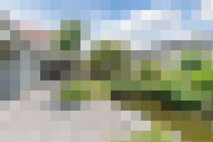 John F. Kennedylaan 1 't Veld thumbnail 41