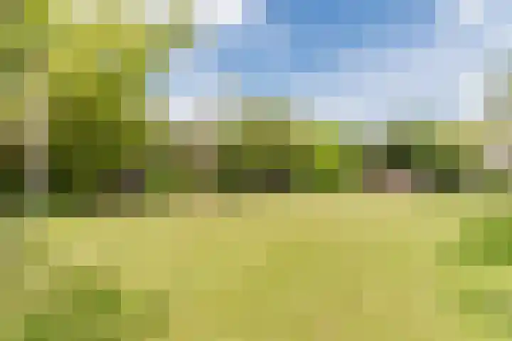 John F. Kennedylaan 1 't Veld thumbnail 42