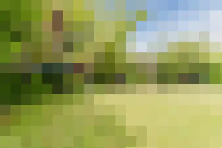 John F. Kennedylaan 1 't Veld thumbnail 43