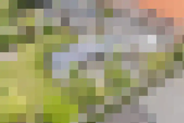 John F. Kennedylaan 1 't Veld thumbnail 45
