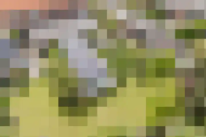 John F. Kennedylaan 1 't Veld thumbnail 46