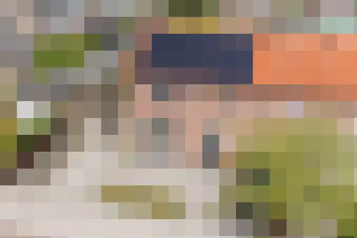 John F. Kennedylaan 1 't Veld thumbnail 5
