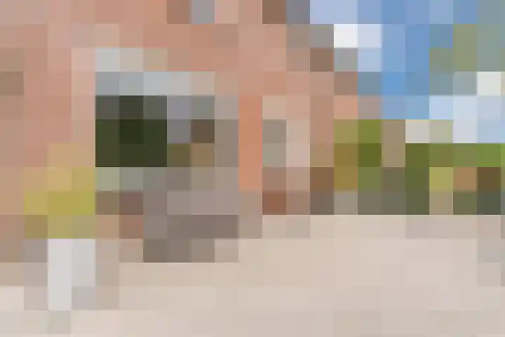 John F. Kennedylaan 1 't Veld thumbnail 7