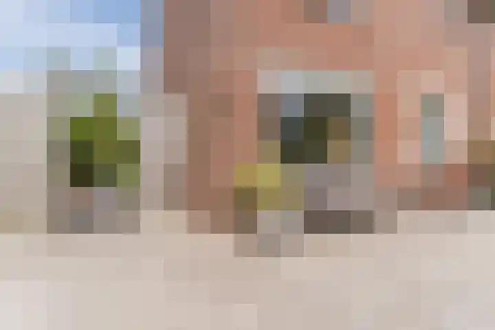 John F. Kennedylaan 1 't Veld thumbnail 8