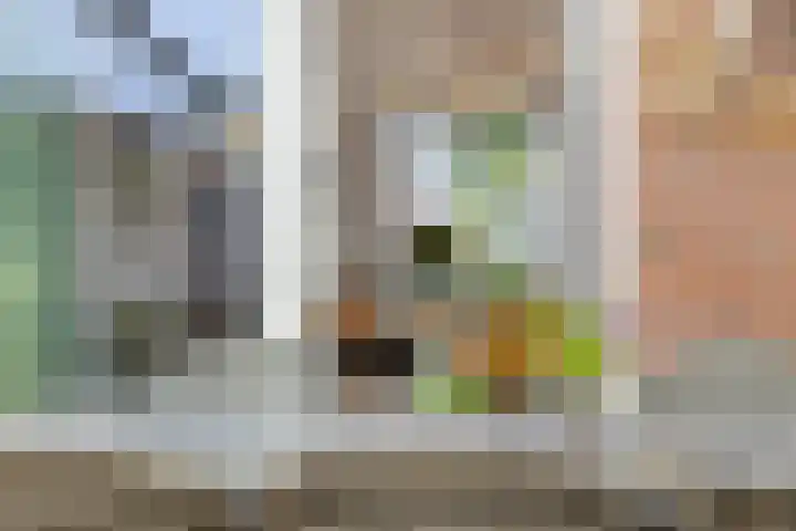John F. Kennedylaan 11 Vught thumbnail 11