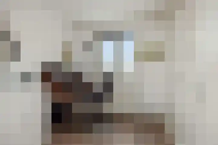 John F. Kennedylaan 11 Vught thumbnail 18