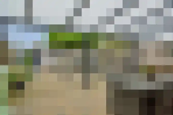 John F. Kennedylaan 11 Vught thumbnail 27