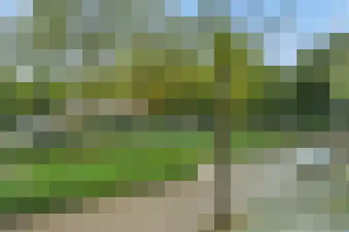John F. Kennedylaan 11 Vught thumbnail 33