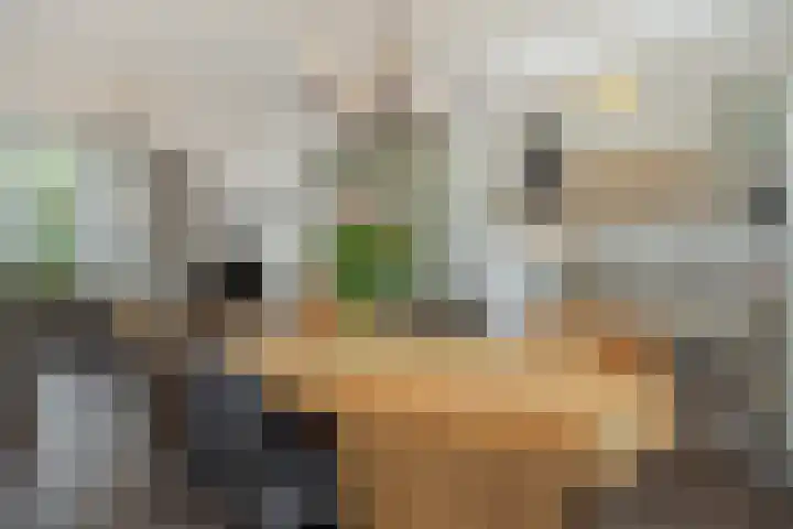 John F. Kennedylaan 11 Vught thumbnail 6