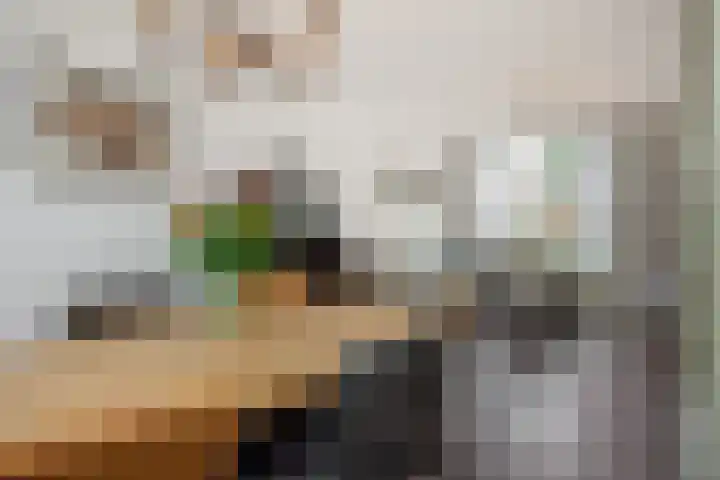 John F. Kennedylaan 11 Vught thumbnail 9