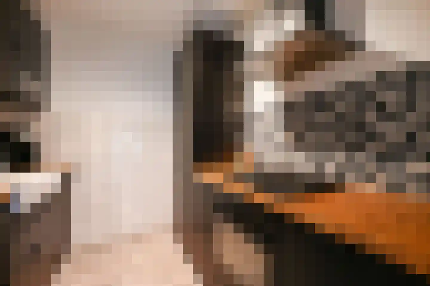 John F. Kennedylaan 111 Rijswijk thumbnail 16